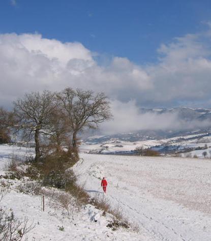 sneeuwlandschap ..